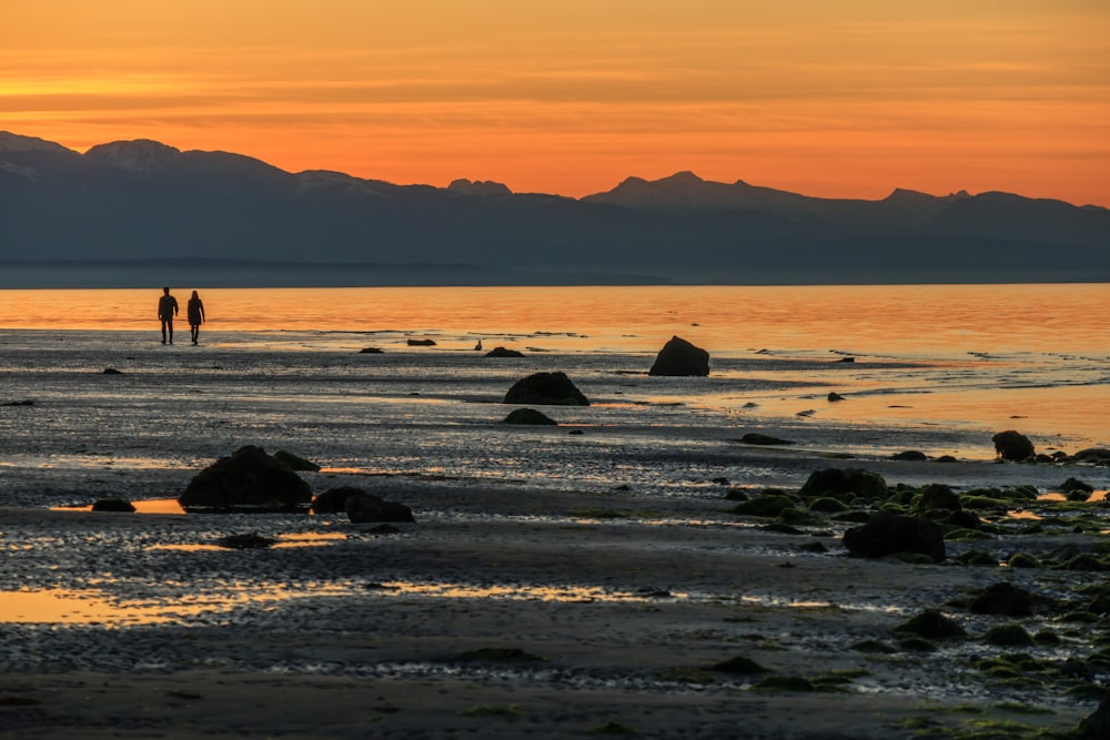 silhouette of people on beach during sunset