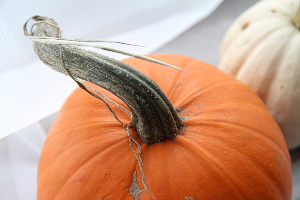 calabaza naranja sobre textil blanco