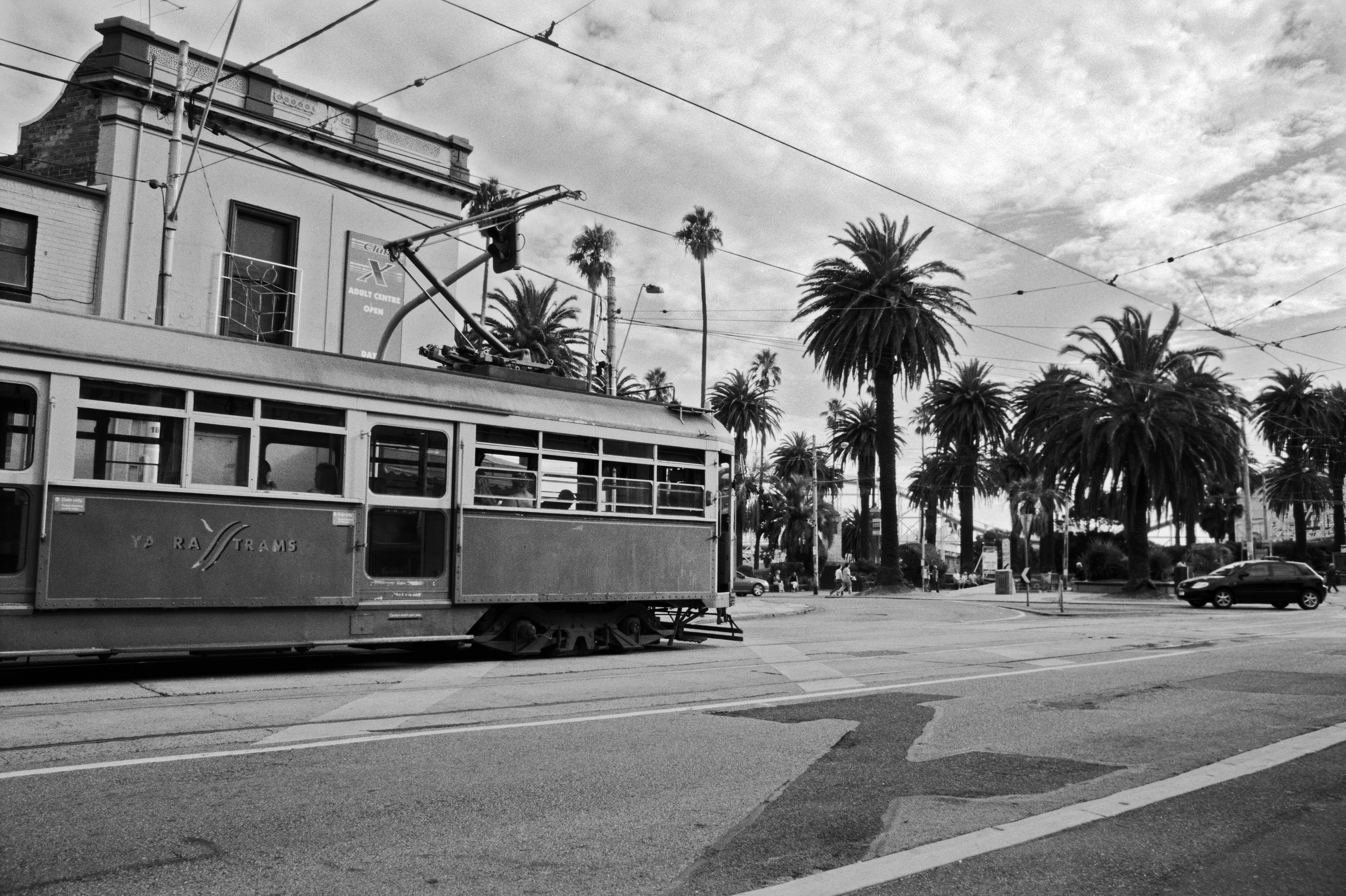 Black and white photo of a tram on a palm-lined road