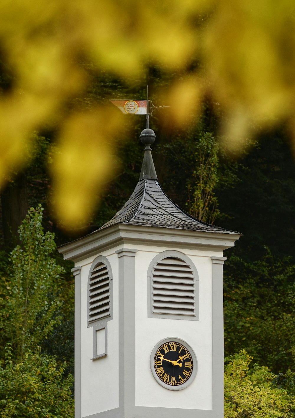 white and black church near green trees during daytime