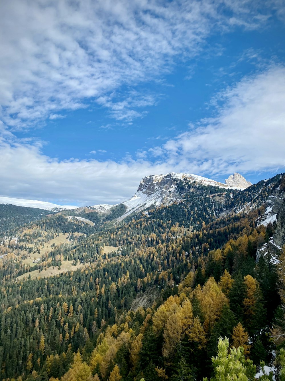 green trees on mountain under blue sky during daytime