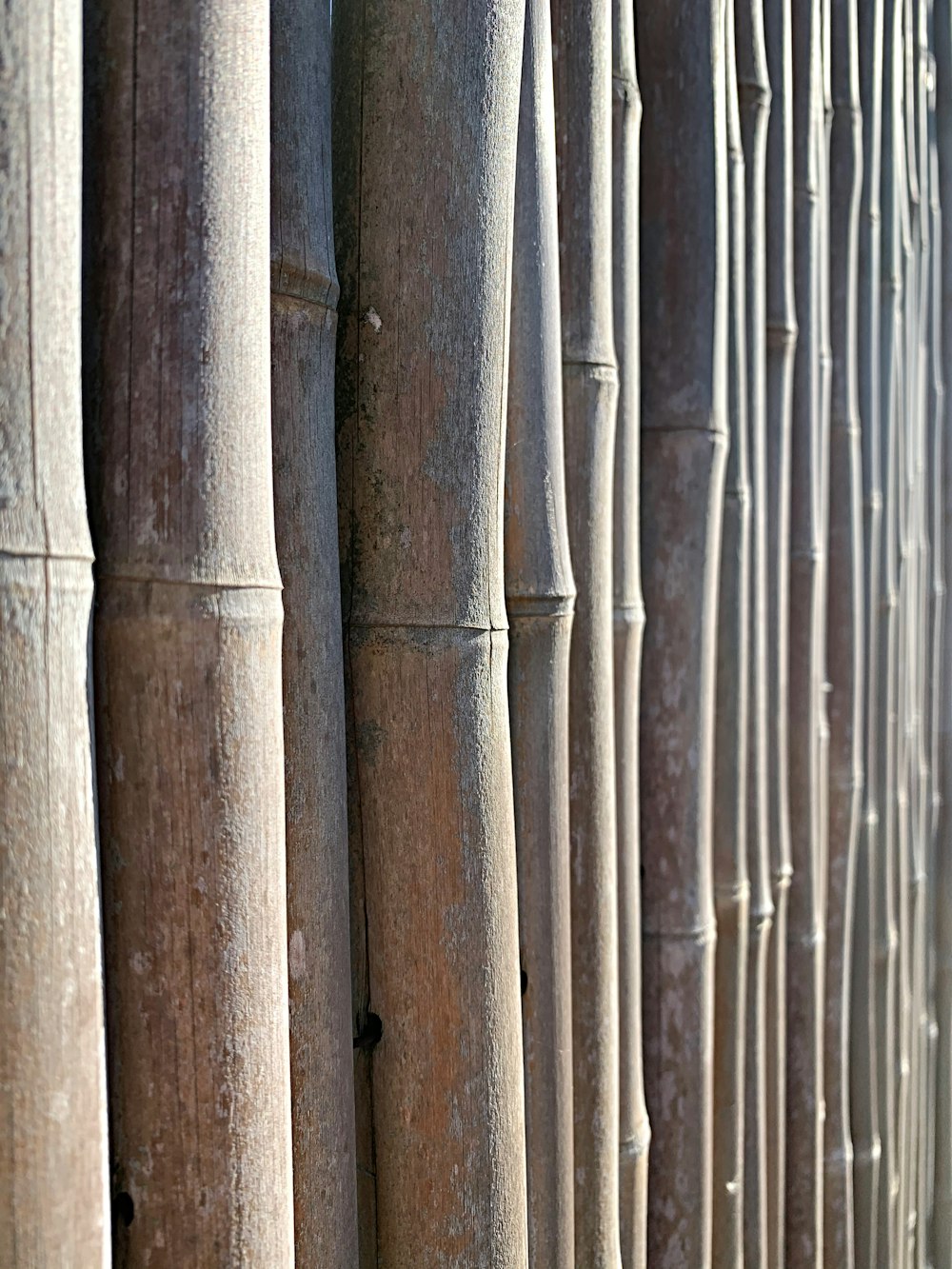 Pared de madera marrón y gris