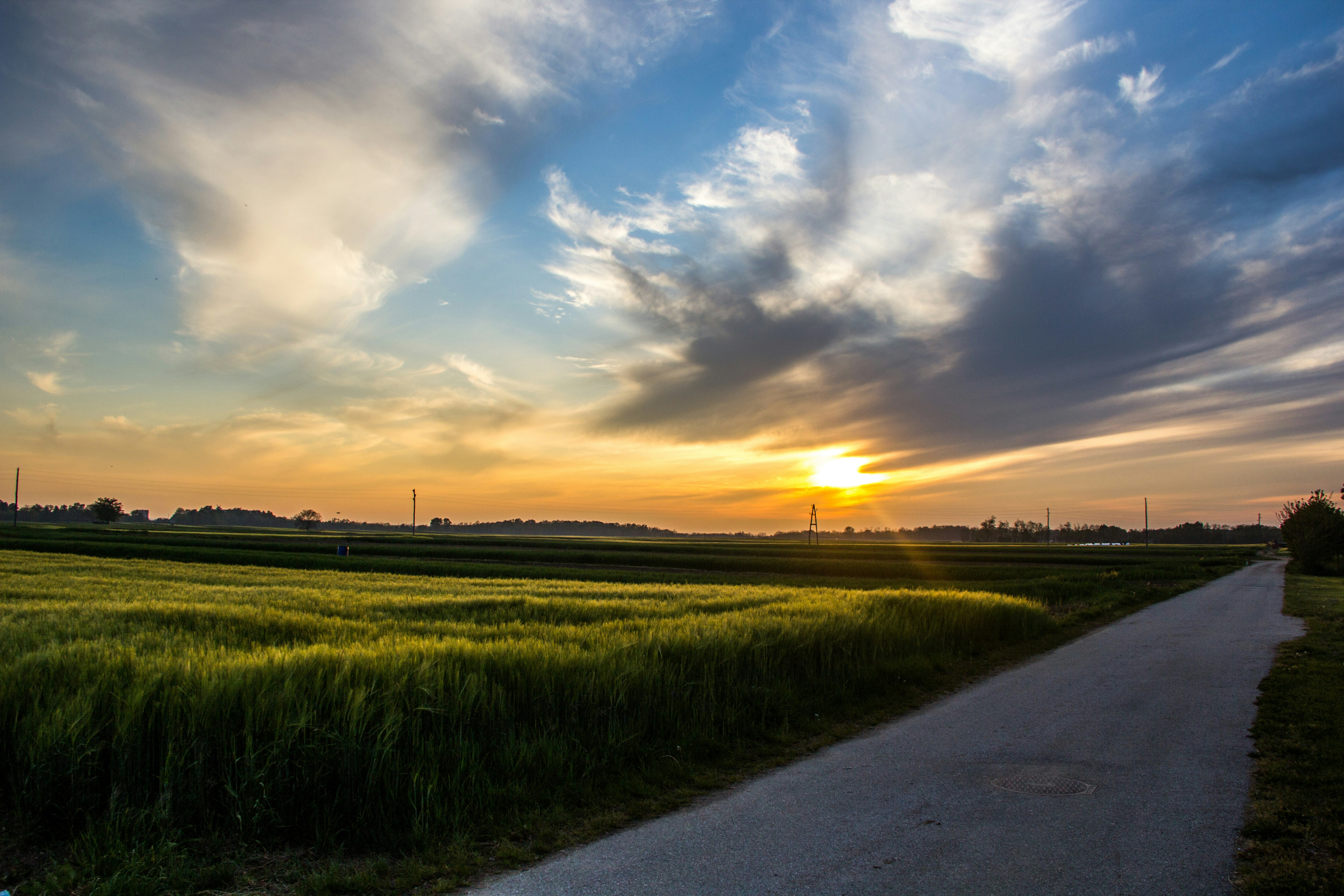 Photo by novakpictures