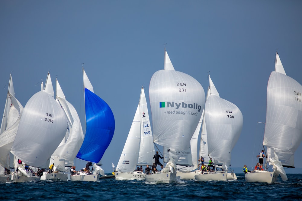 weiß-blaues Segelboot auf See tagsüber