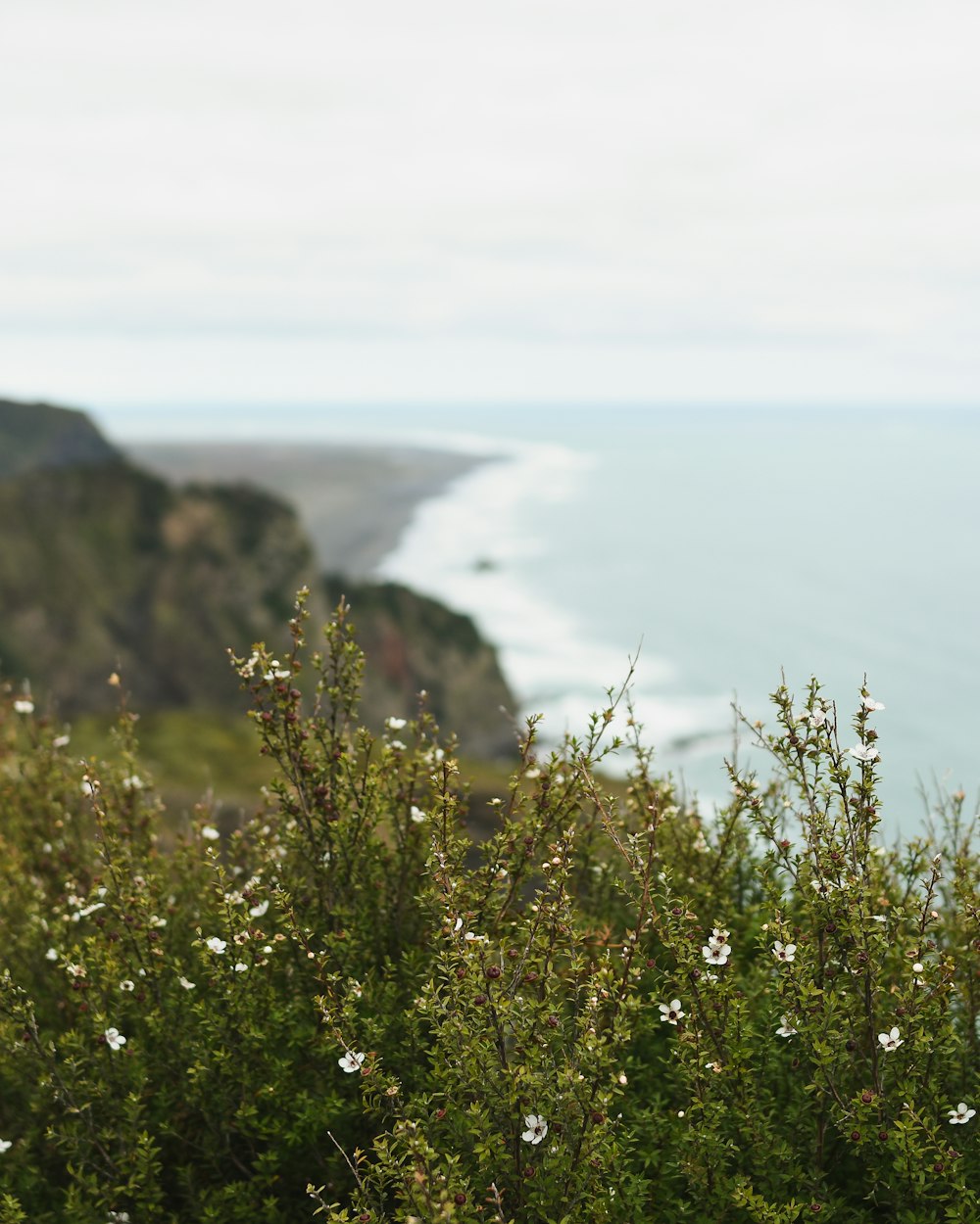 green grass on brown rock formation near body of water during daytime