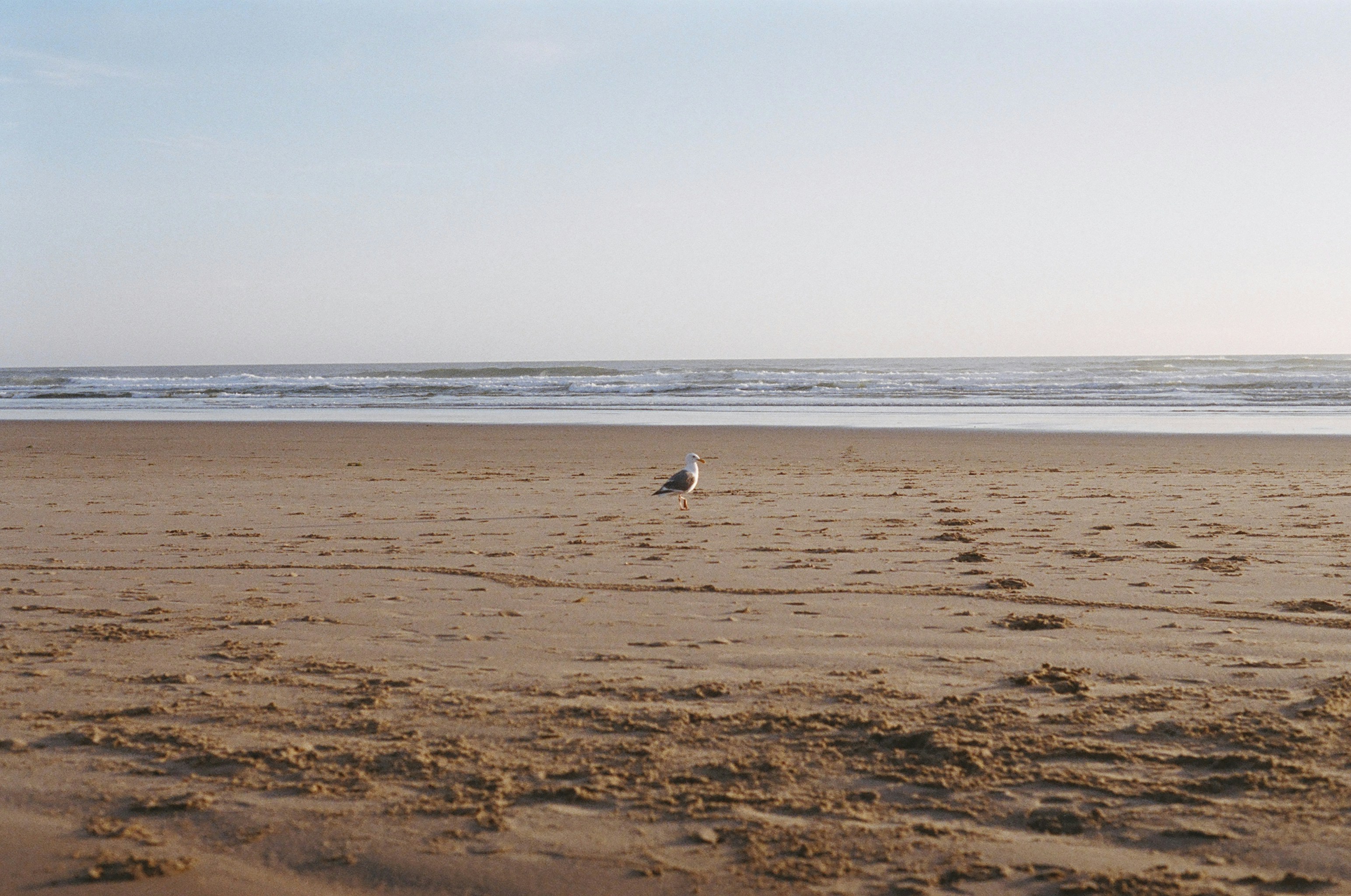 Photo by anas_duhaithem