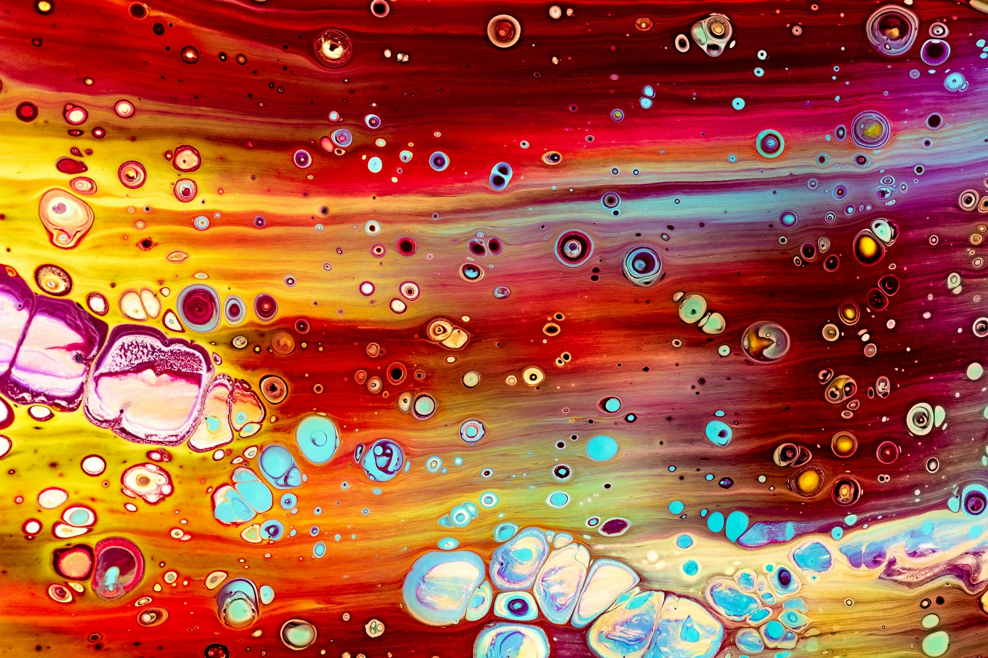 orange and pink abstract painting