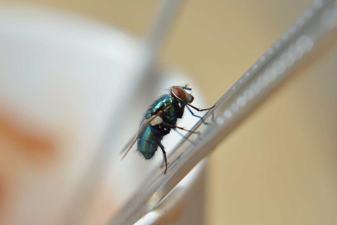 green fly perched on white stick in close up photography during daytime