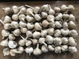A collection of garlic bulbs is spread out on a wooden surface. The bulbs are arranged closely together, showcasing their papery white skins and dried brown roots.