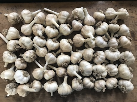 A collection of garlic bulbs is spread out on a wooden surface. The bulbs are arranged closely together, showcasing their papery white skins and dried brown roots.