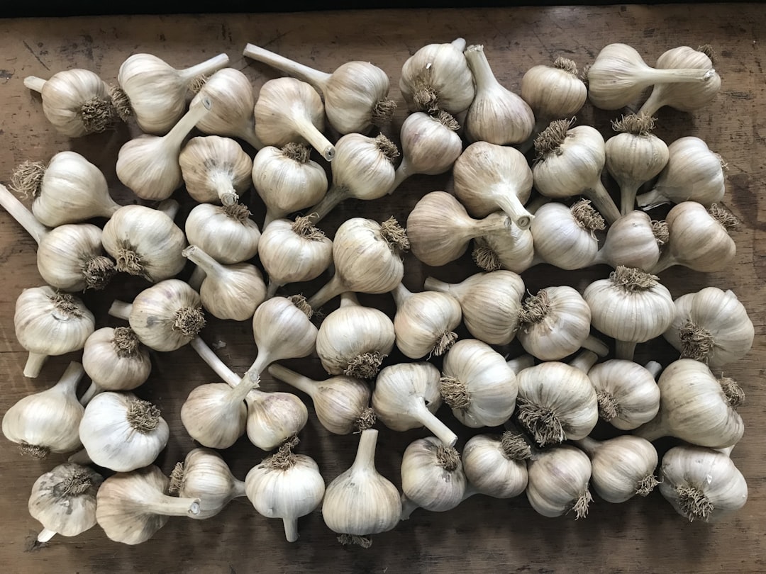 brown garlic on brown wooden table, Homegrown organic seed garlic on rustic wooden butcher block table.