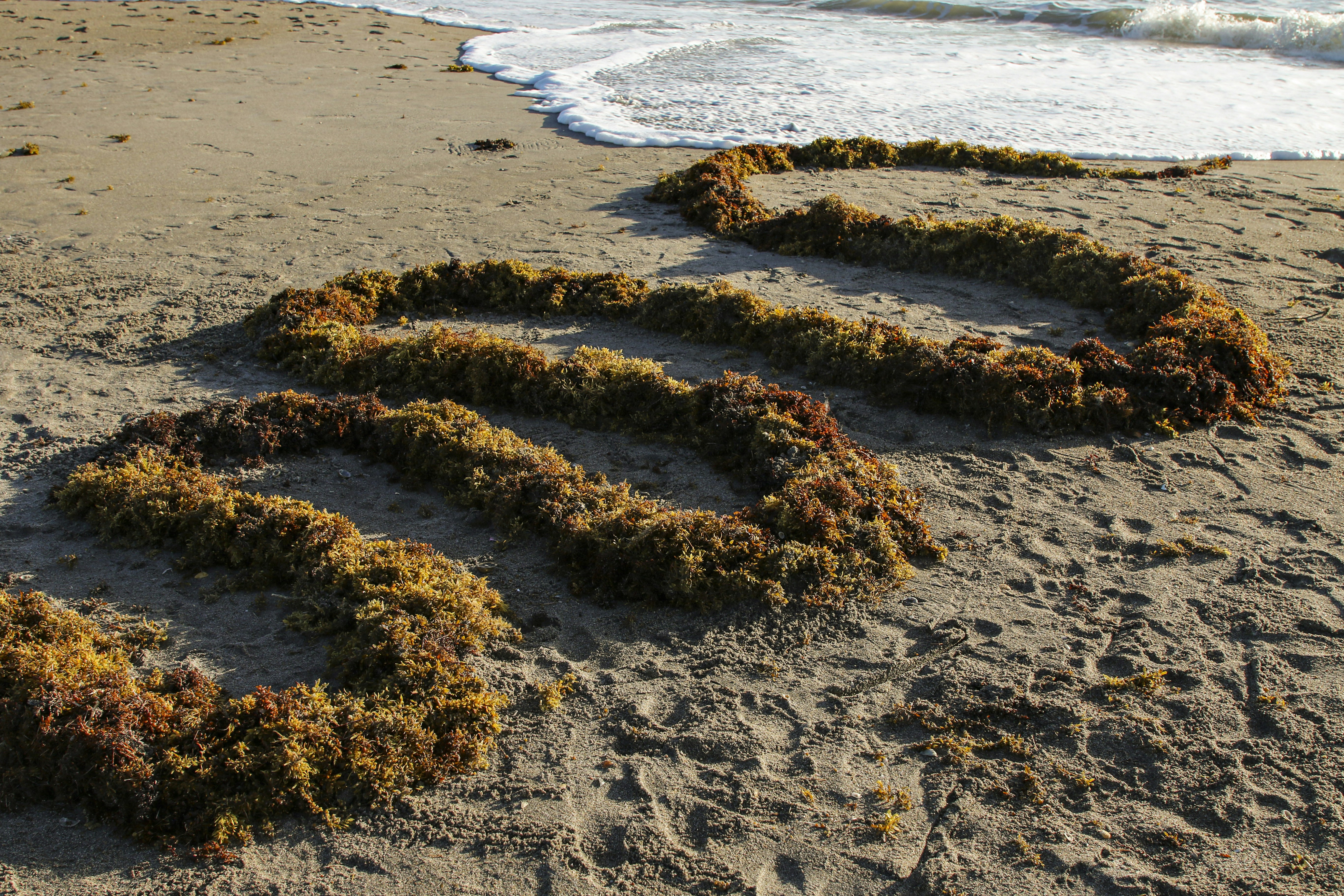 Caught by the Tides: 30 Heartfelt Wishes to Send Now