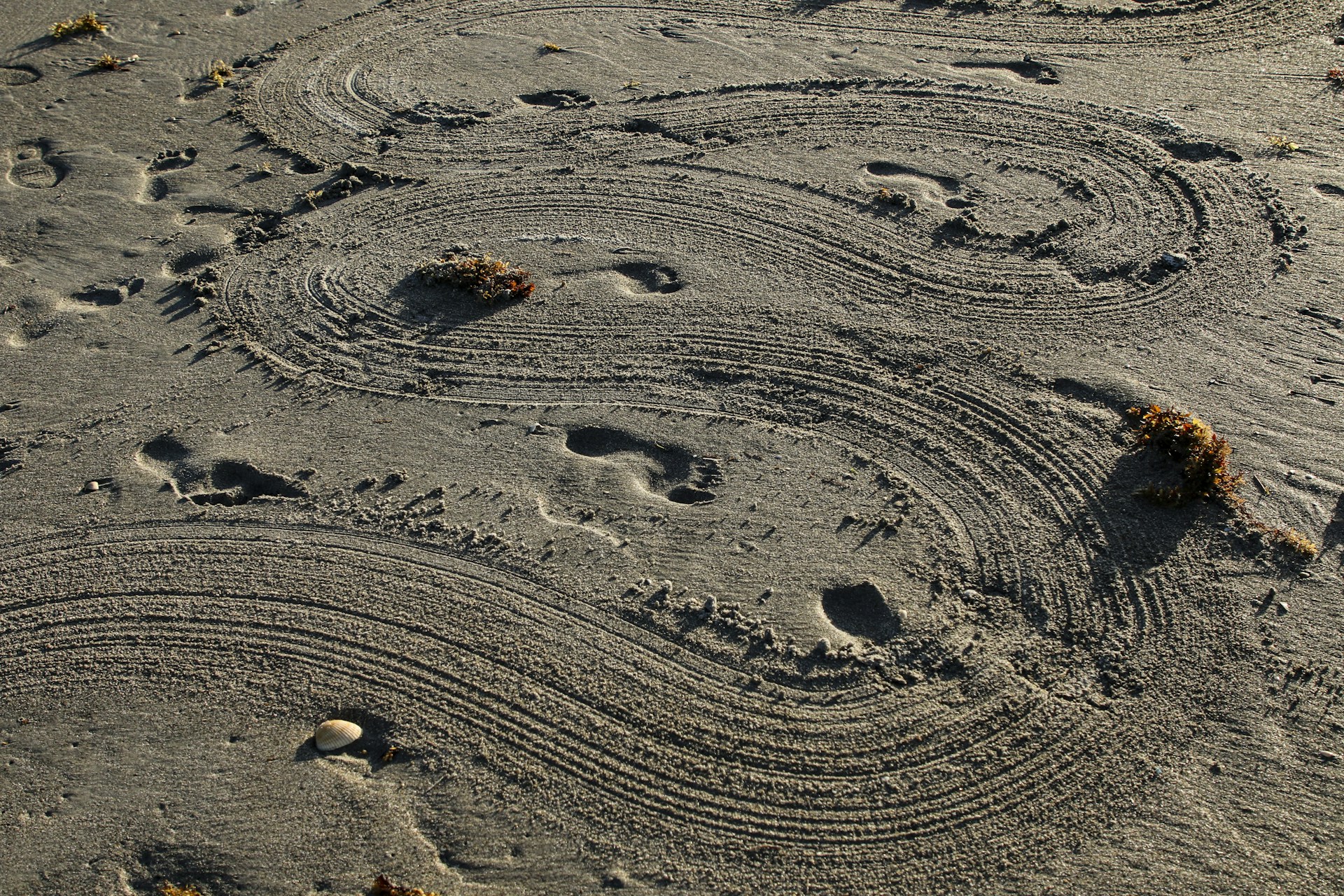 footprints on sand during daytime