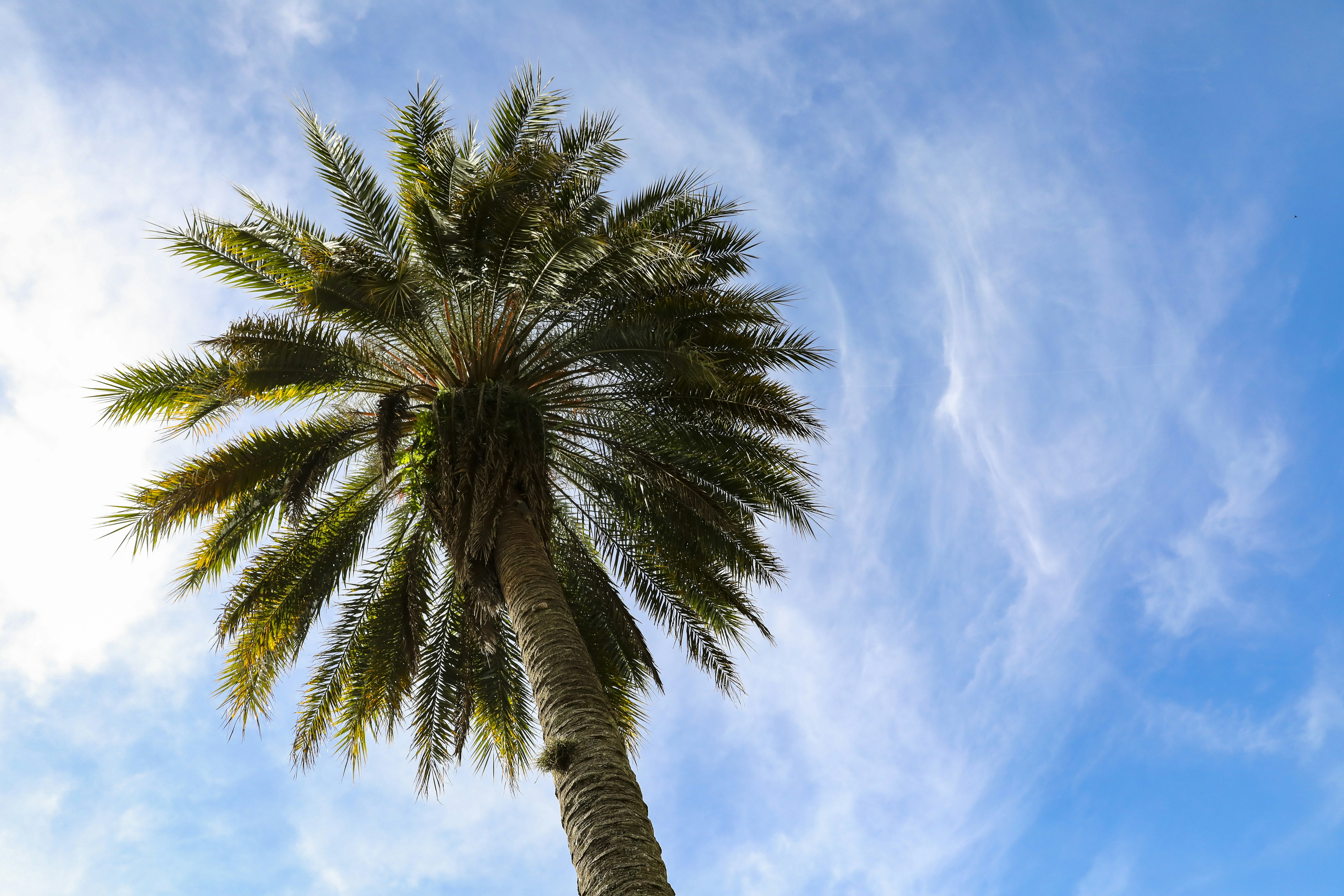 Photo by rocinante_11