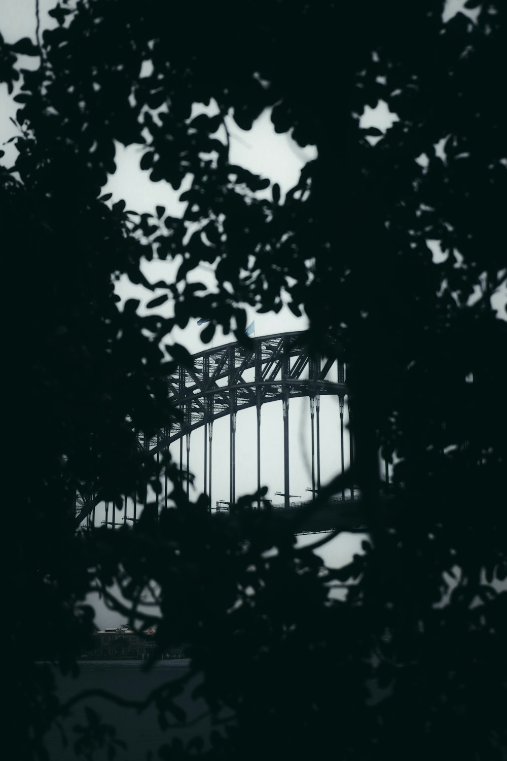 grayscale photo of trees and bridge