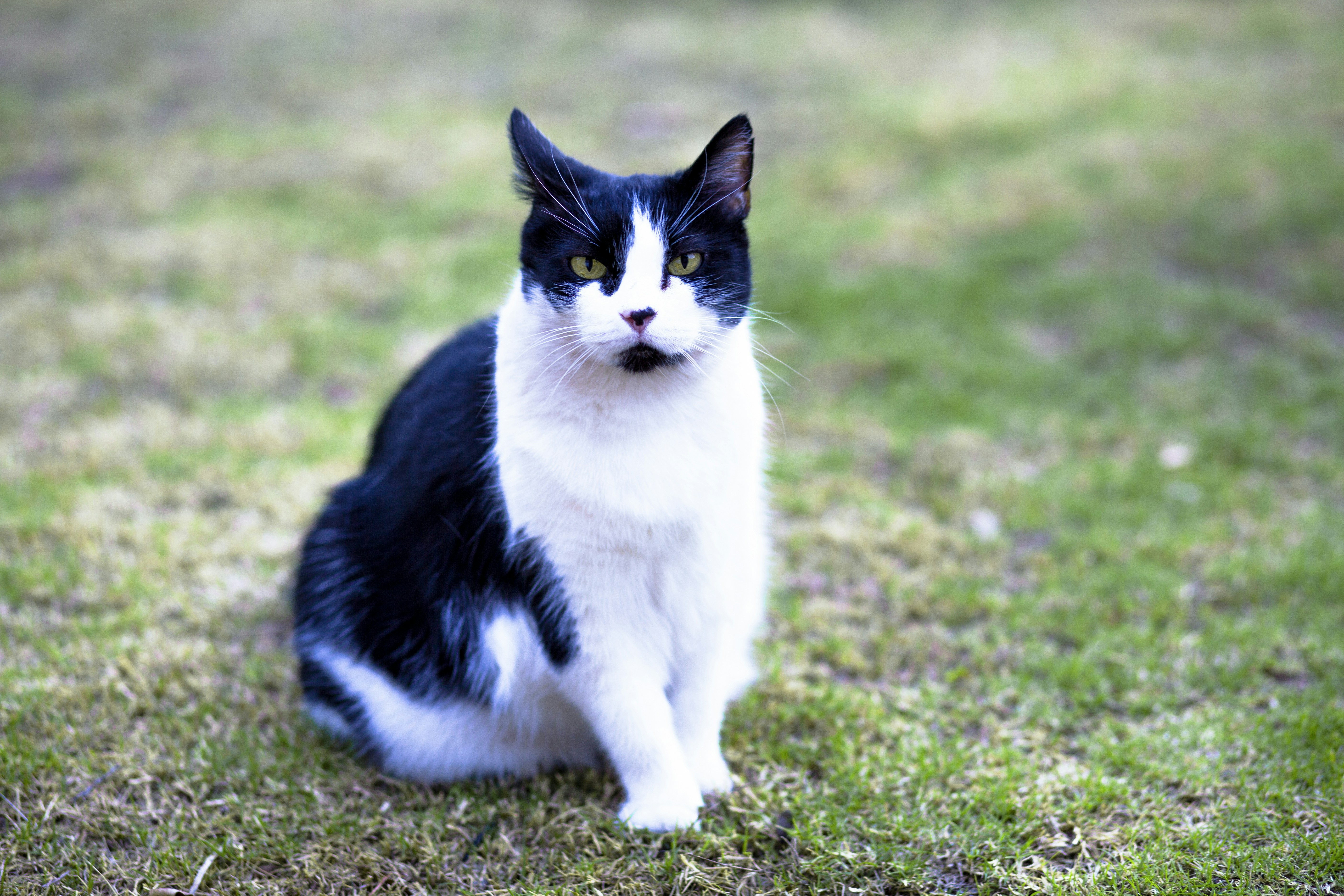 Photo by denisseleon