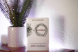 A book titled 'Essentialism' by Greg McKeown is placed upright on a table beside a decorative pot with green fern-like plants. The book cover features a simplified black scribble design framing the title. The background includes a textured wall that subtly reflects light, creating a soft ambiance.