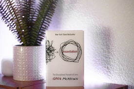A book titled 'Essentialism' by Greg McKeown is placed upright on a table beside a decorative pot with green fern-like plants. The book cover features a simplified black scribble design framing the title. The background includes a textured wall that subtly reflects light, creating a soft ambiance.