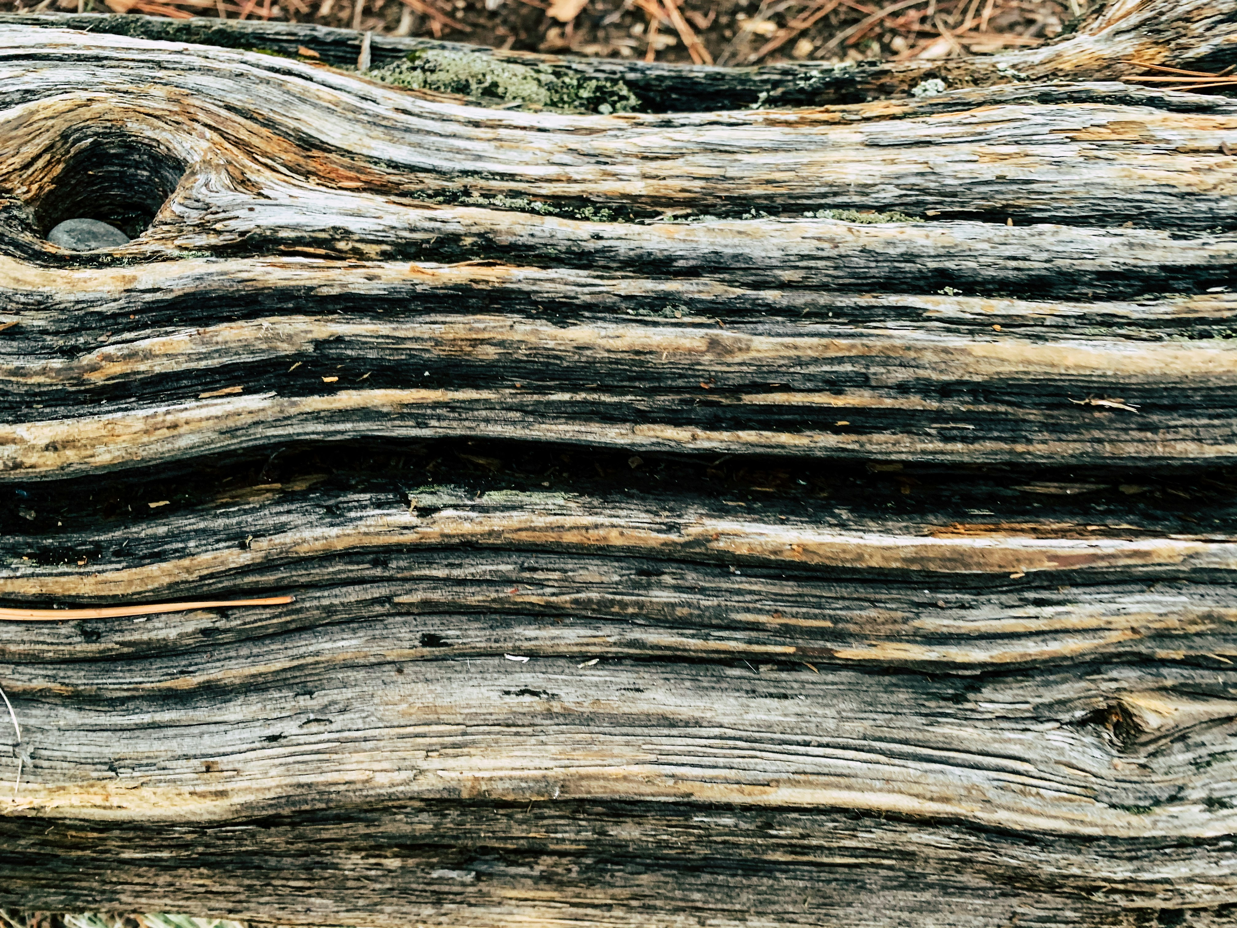 textured bark-like appearance of bonded rubber mulch - bonded rubber mulch price