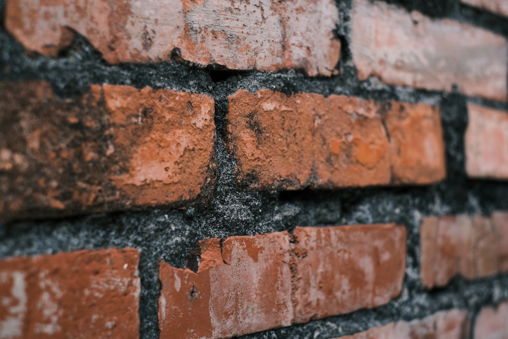 brown and black brick wall