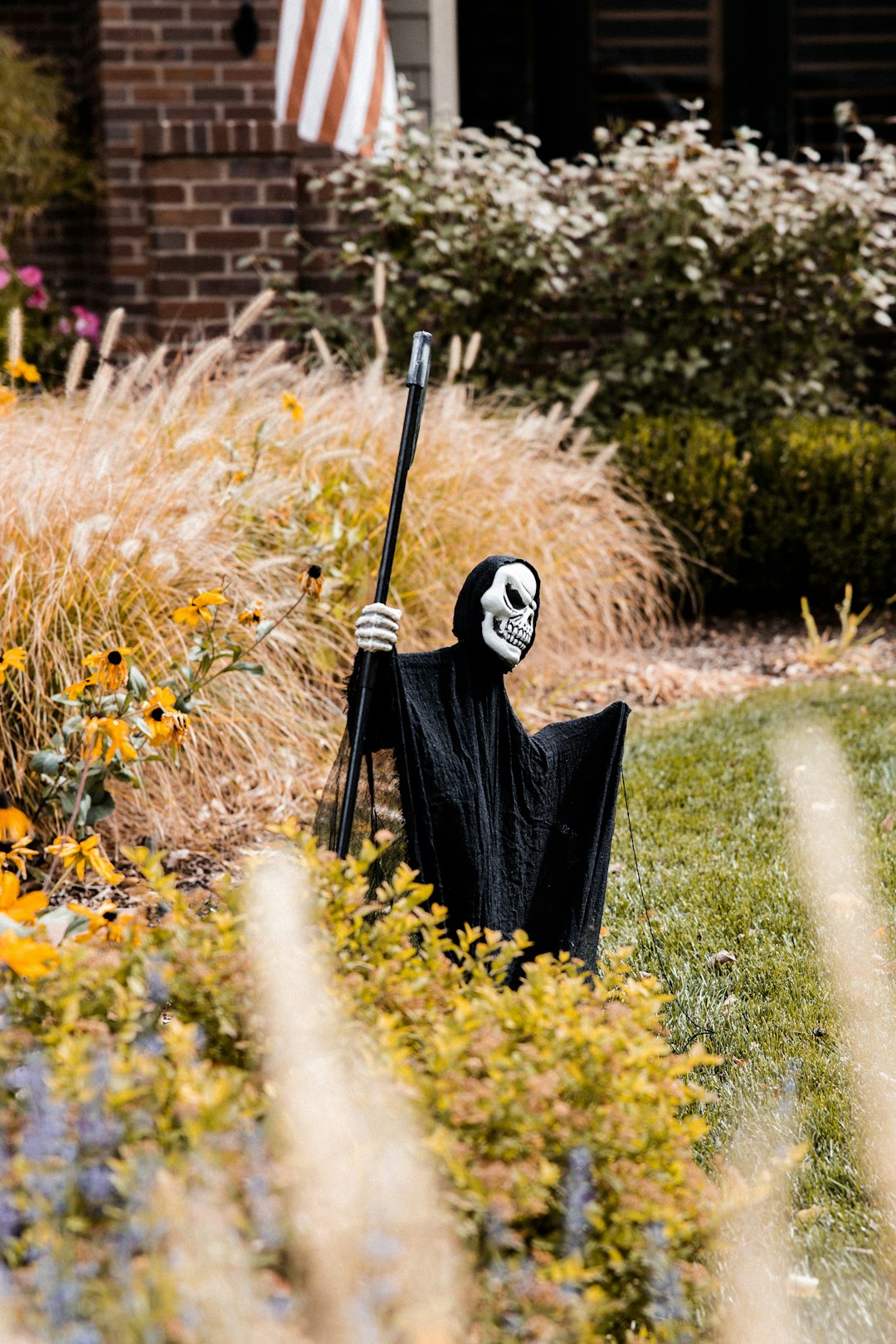 black and white skeleton holding black umbrella walking on green grass field during daytime