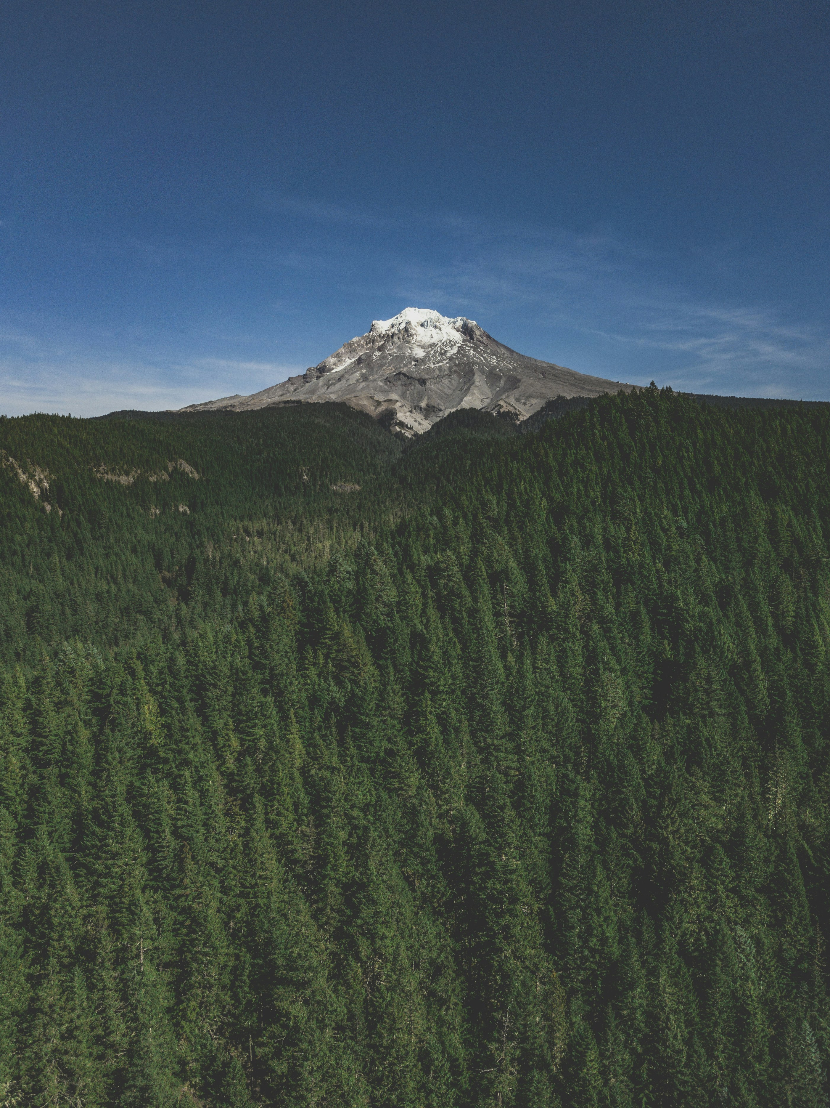 Green trees near snow covered mountain under blue sky during daytime
