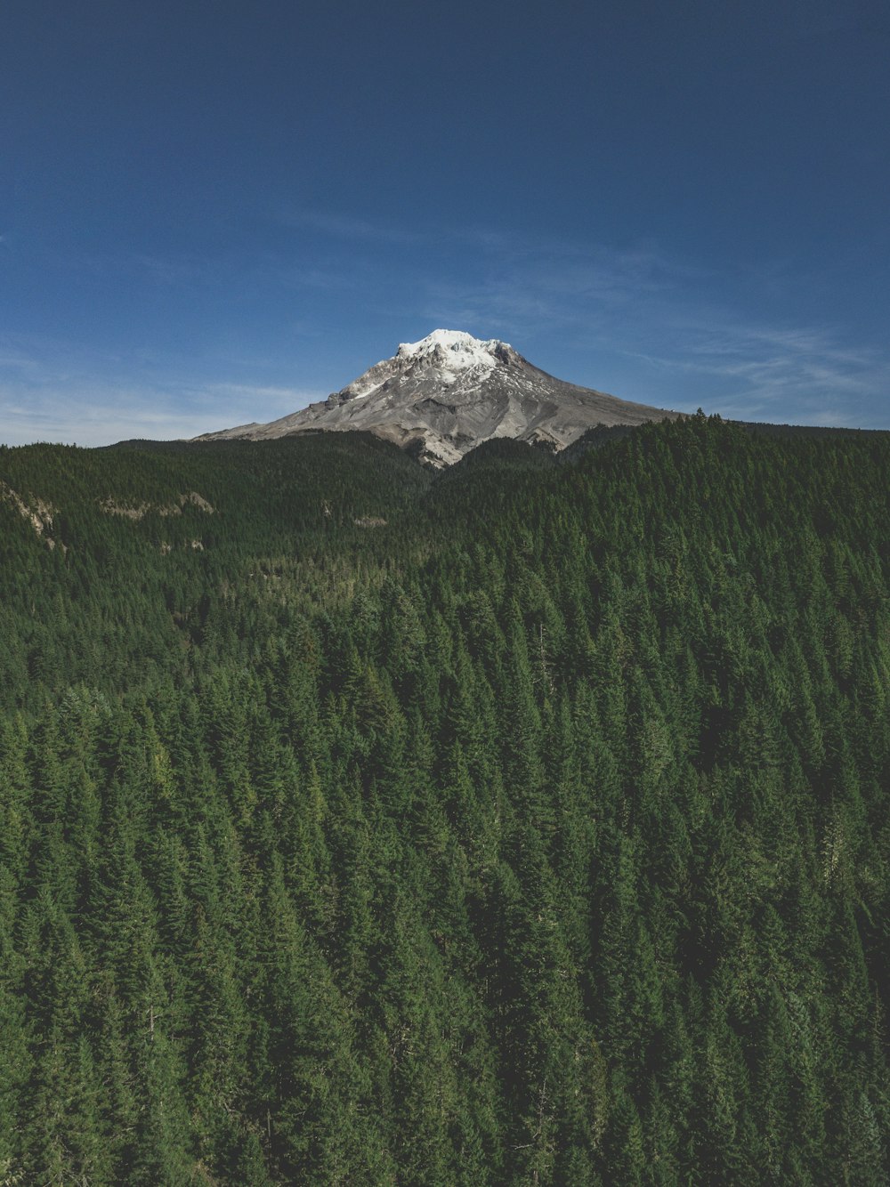 green trees near snow covered mountain under blue sky during daytime