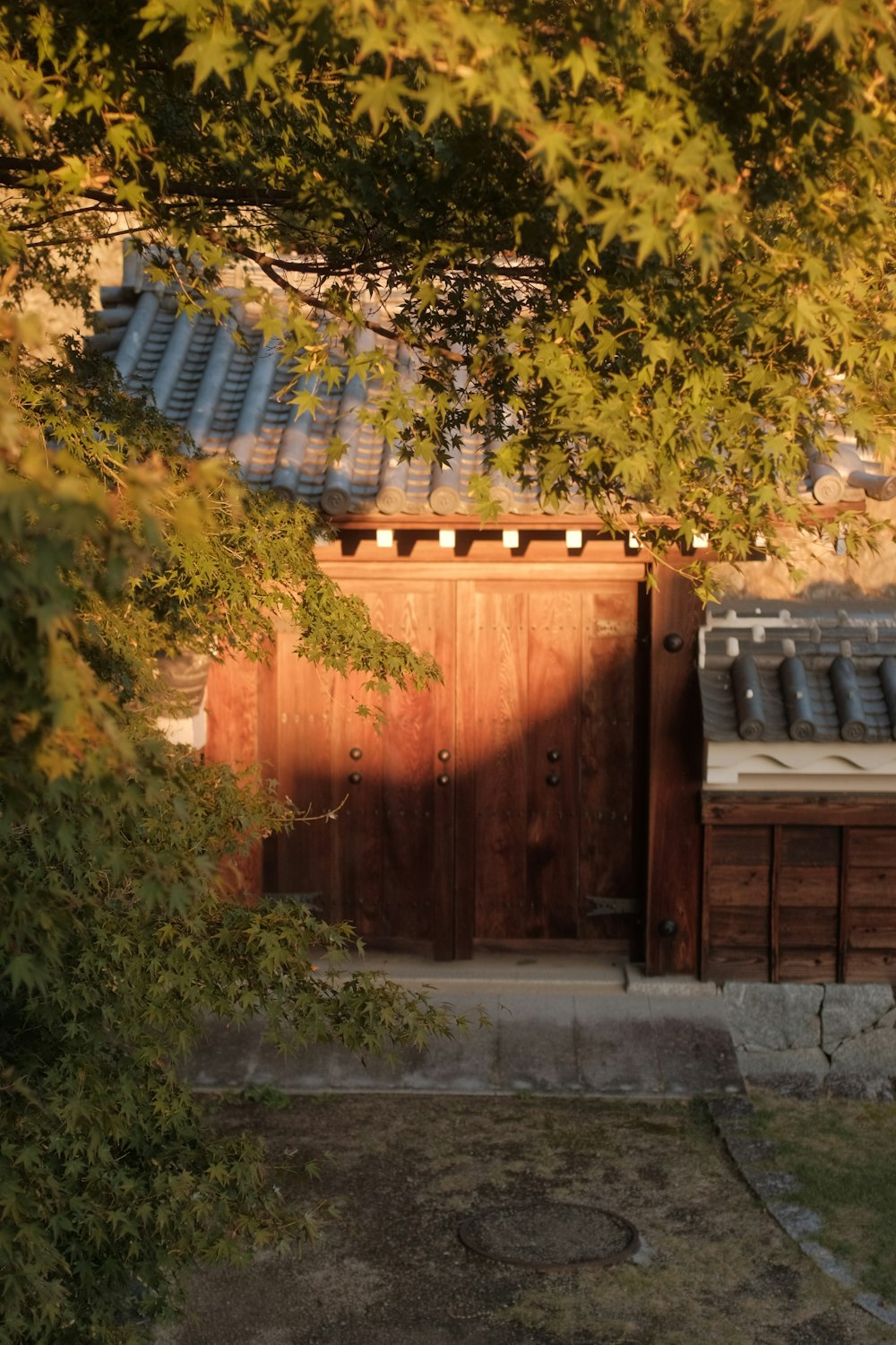 brown wooden fence near green trees during daytime