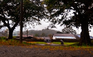 A rural scene with a winding dirt road leading to a cluster of small houses with tiled roofs. There are two large trees framing the image on either side, creating a natural archway. A motorcycle is parked along the road, and in the background, hills covered with trees can be seen under an overcast sky.