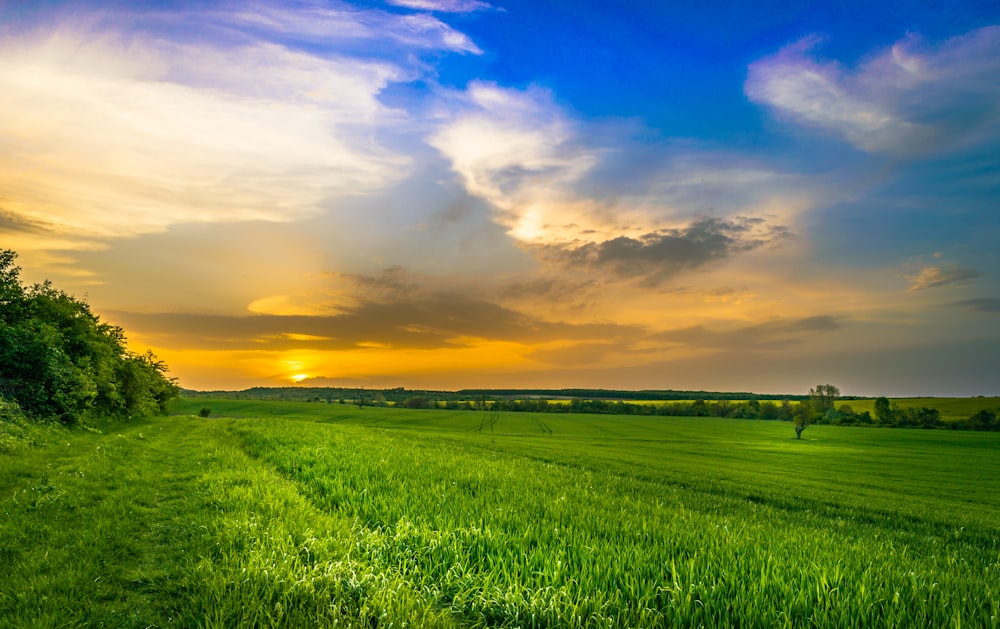 Grüne Rasenwiese unter bewölktem Himmel tagsüber