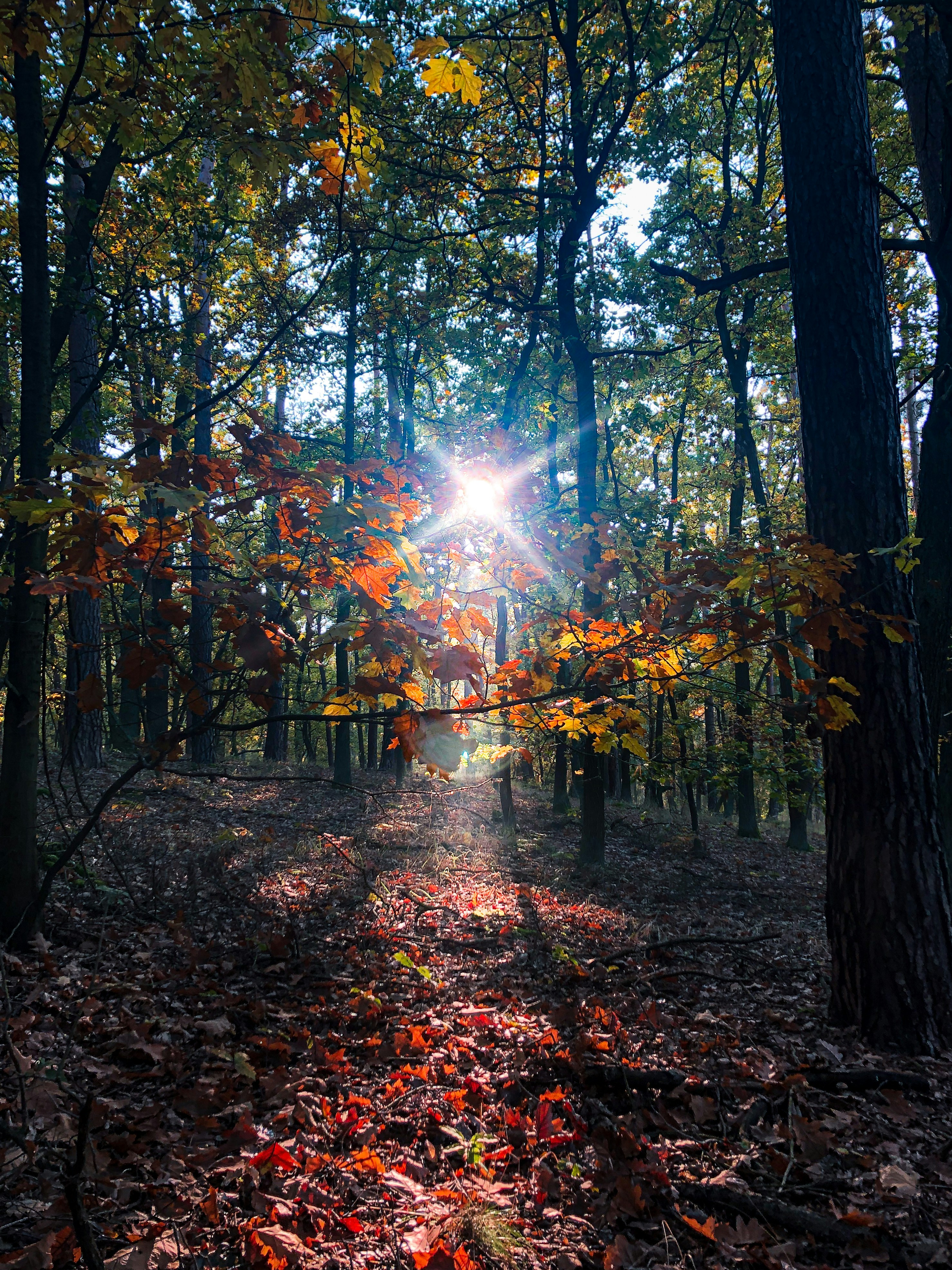 Photo by jindrichsamec