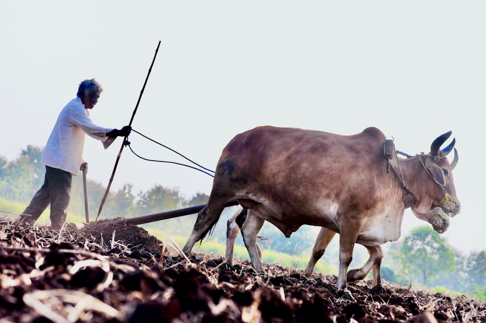 man in blue shirt and black pants holding black fishing rod standing on brown field during