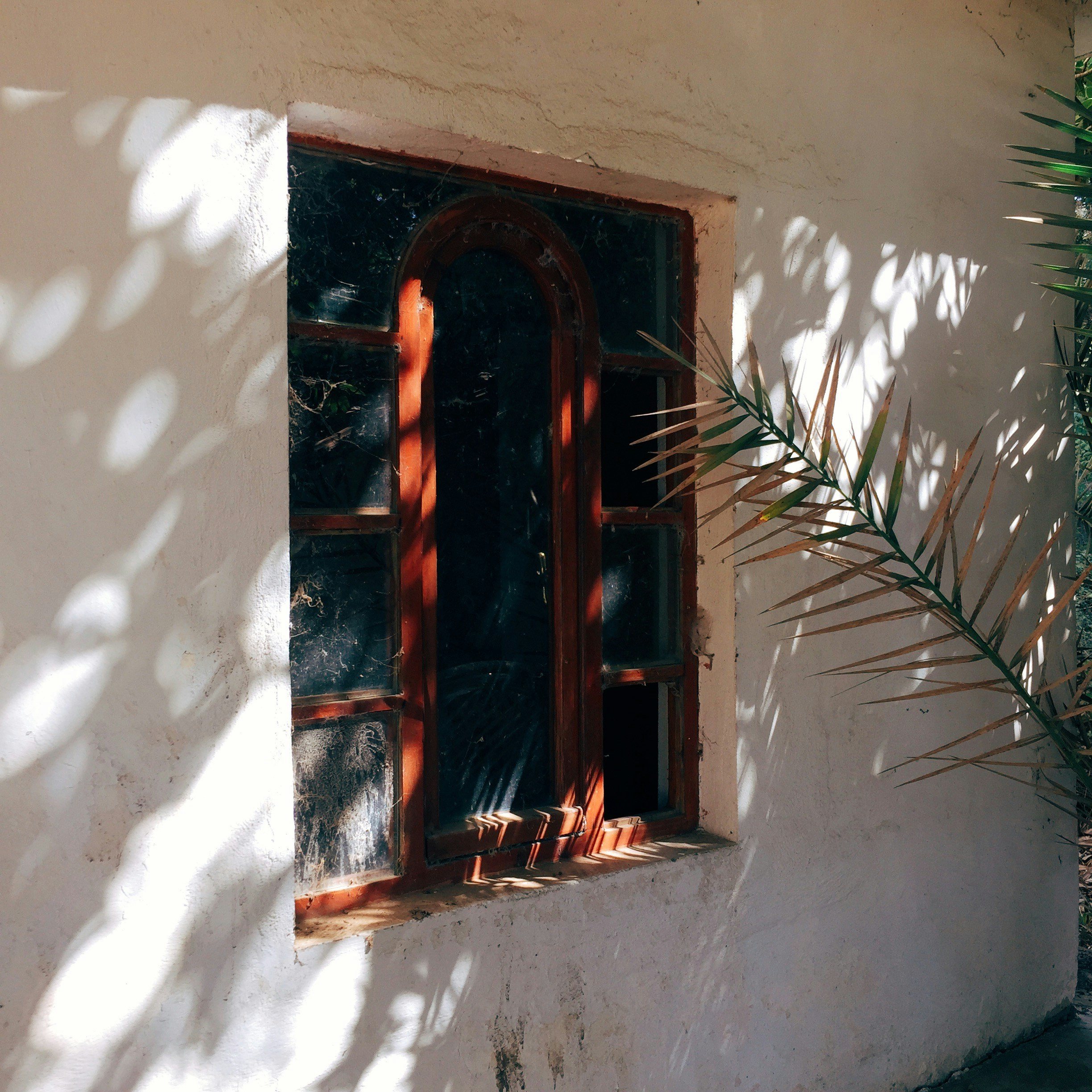 Photo by irmakaydin_3537