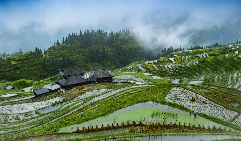 green grass field under white clouds during daytime