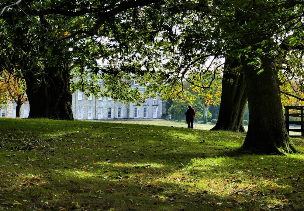 person in black jacket walking on green grass field during daytime