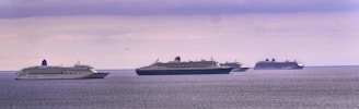 Several cruise ships are sailing on a calm sea beneath an overcast sky. The horizon is visible, with ships positioned from left to right, indicating a procession or fleet at sea.