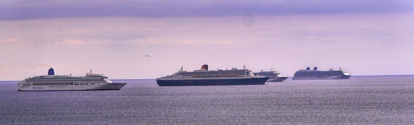Several cruise ships are sailing on a calm sea beneath an overcast sky. The horizon is visible, with ships positioned from left to right, indicating a procession or fleet at sea.