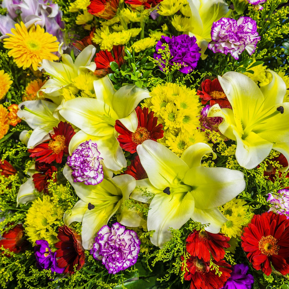 flores amarillas y rosadas con hojas verdes