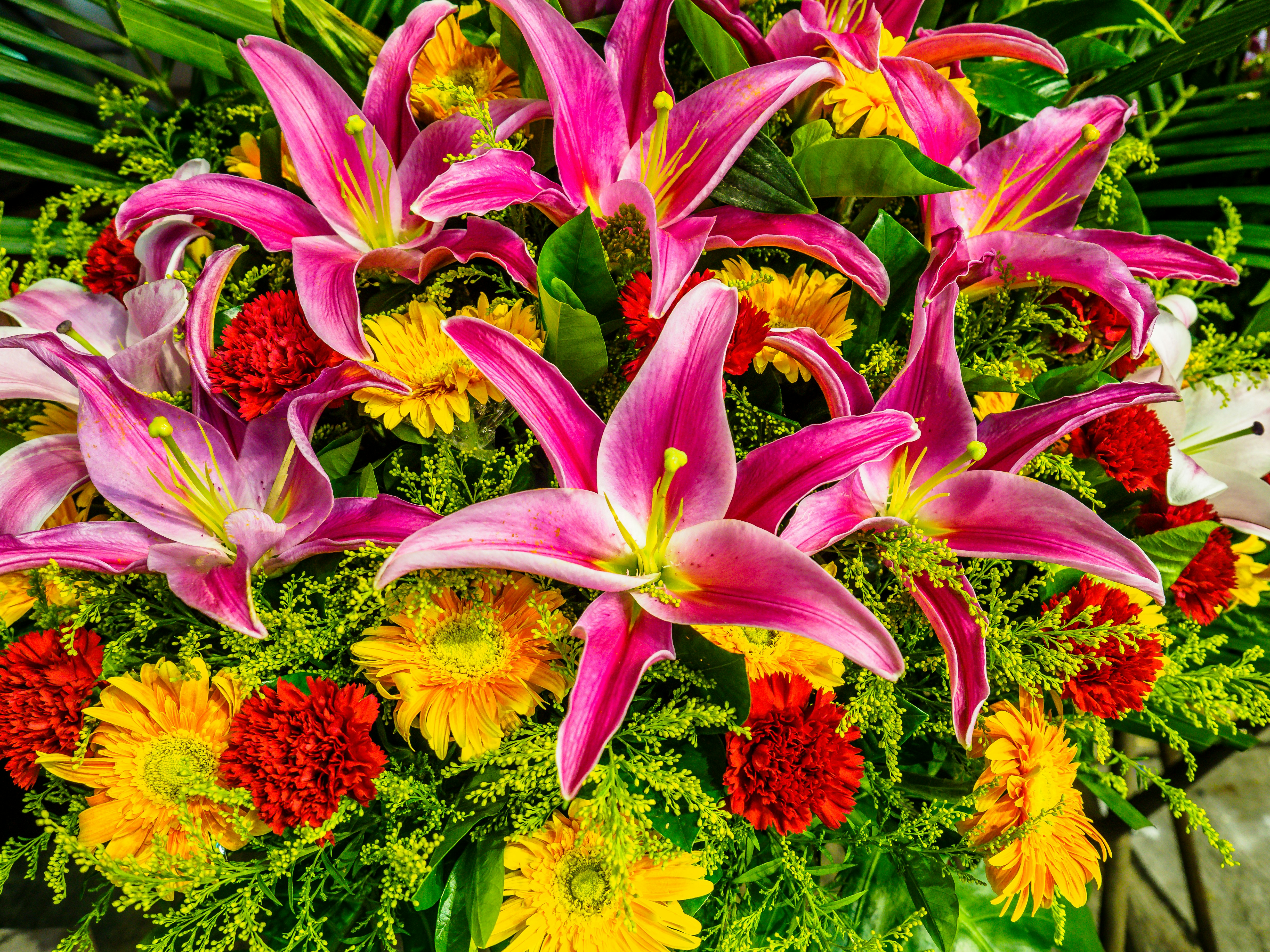 purple and yellow flowers with green leaves