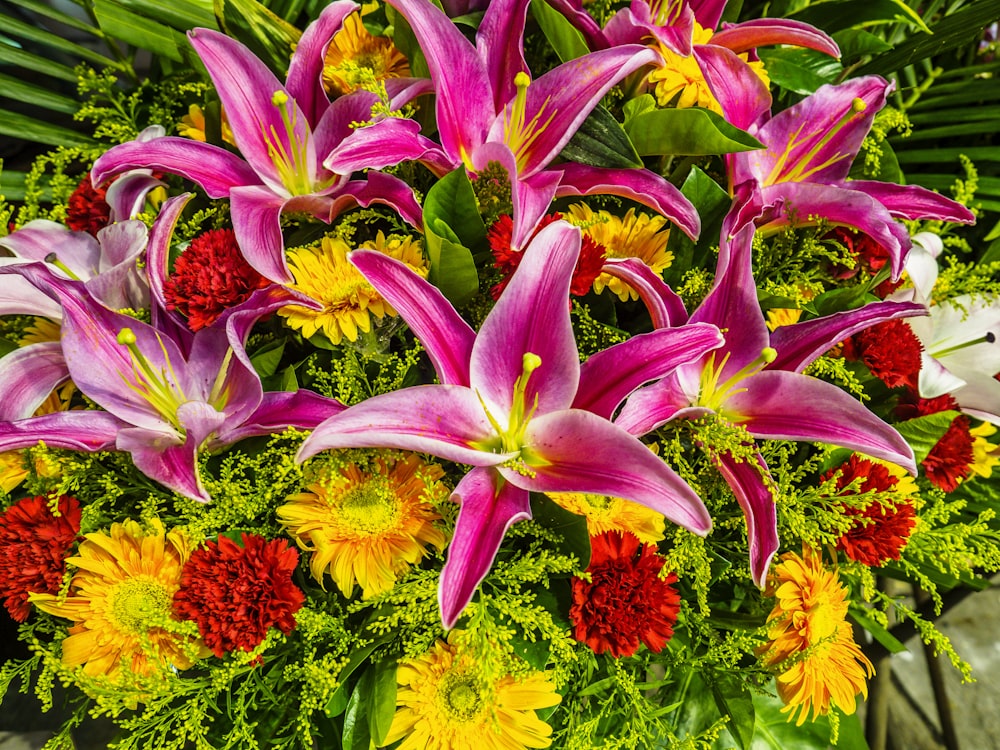 purple and yellow flowers with green leaves