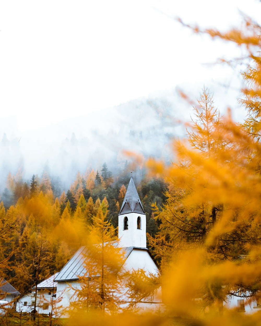 white and blue church near trees during daytime