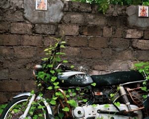 black motorcycle parked beside green wall