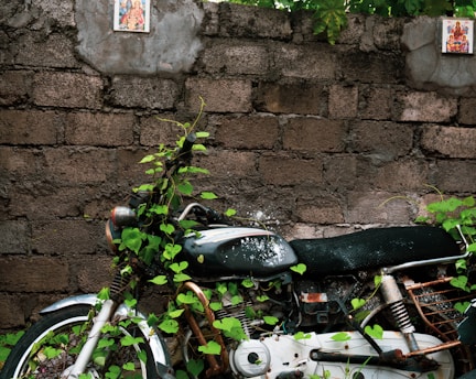 black motorcycle parked beside green wall