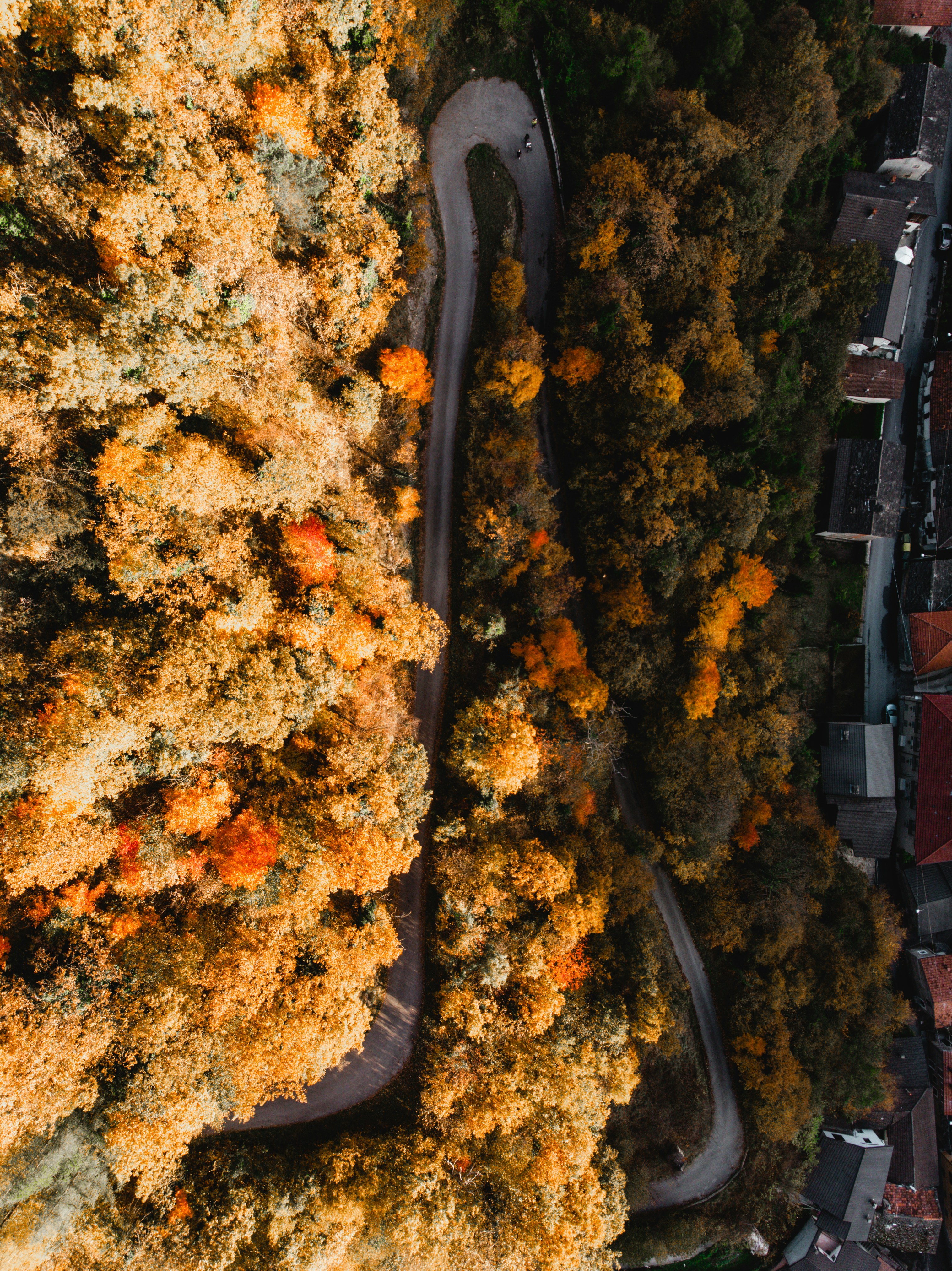 Best hiking trails for fall foliage: Experience the stunning beauty of New England's autumn colors on these unforgettable hiking trails