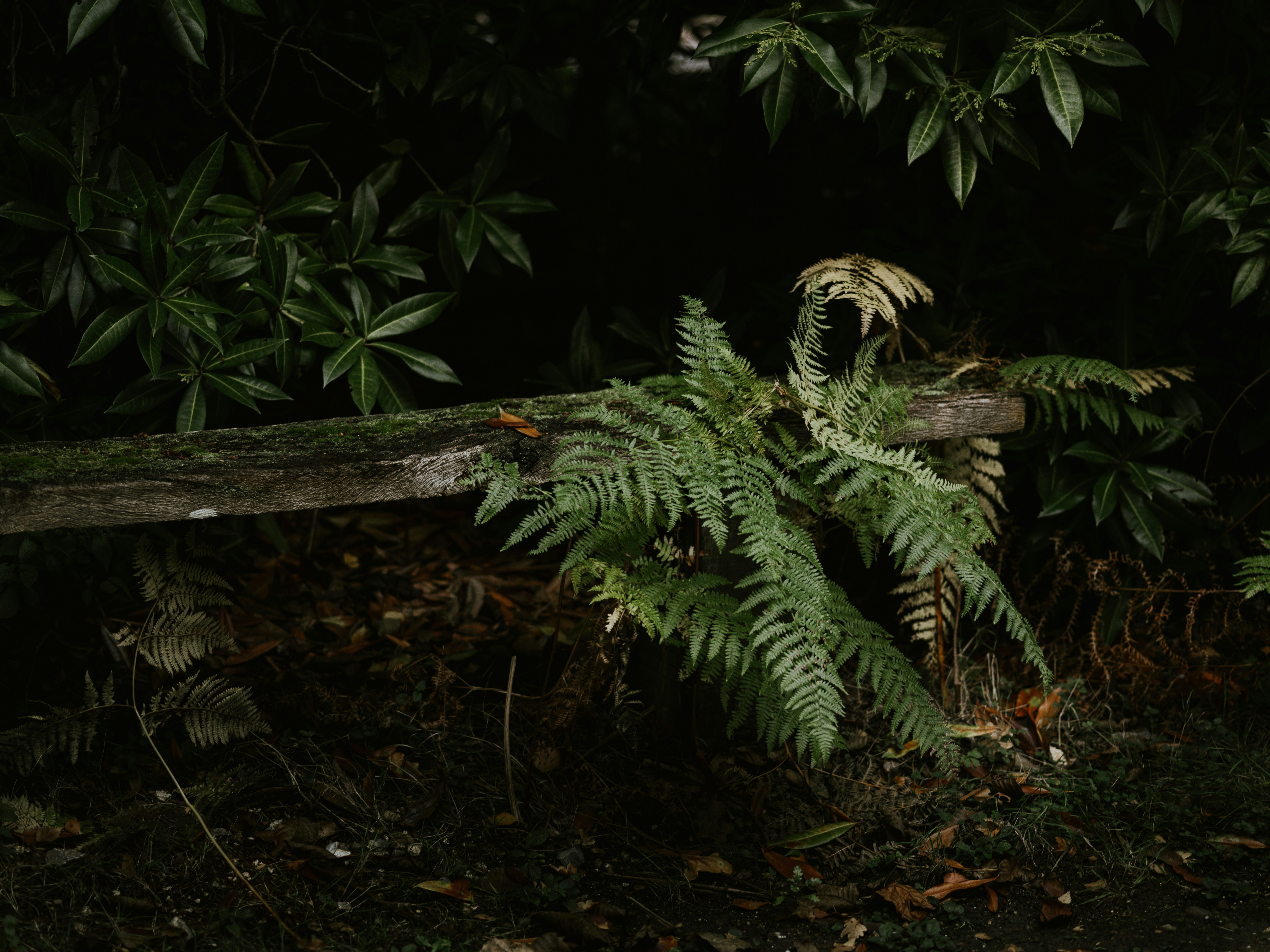 Photo by anniespratt