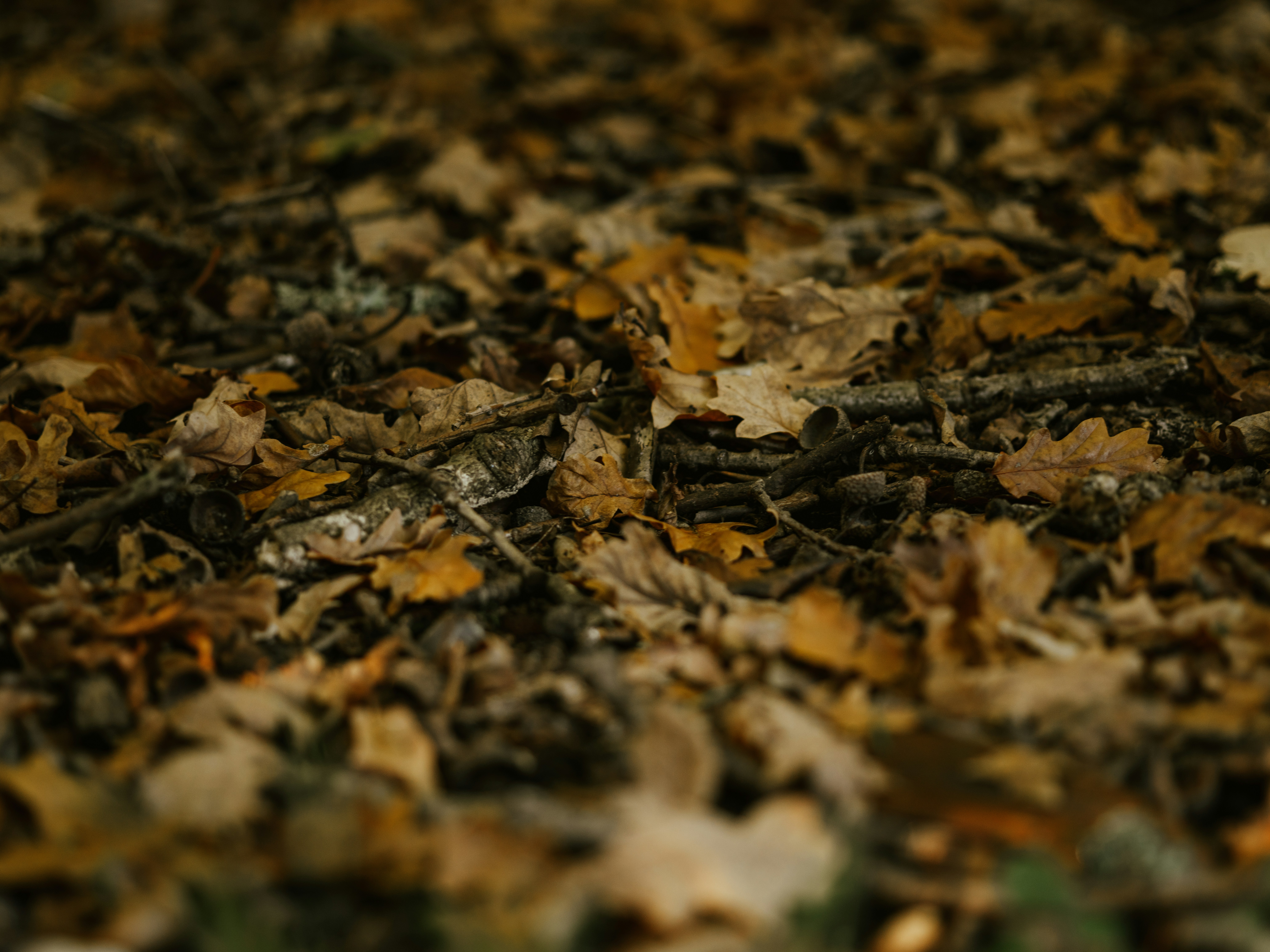 Photo by anniespratt