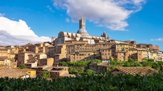 siena: tuscany: best day trips from florence