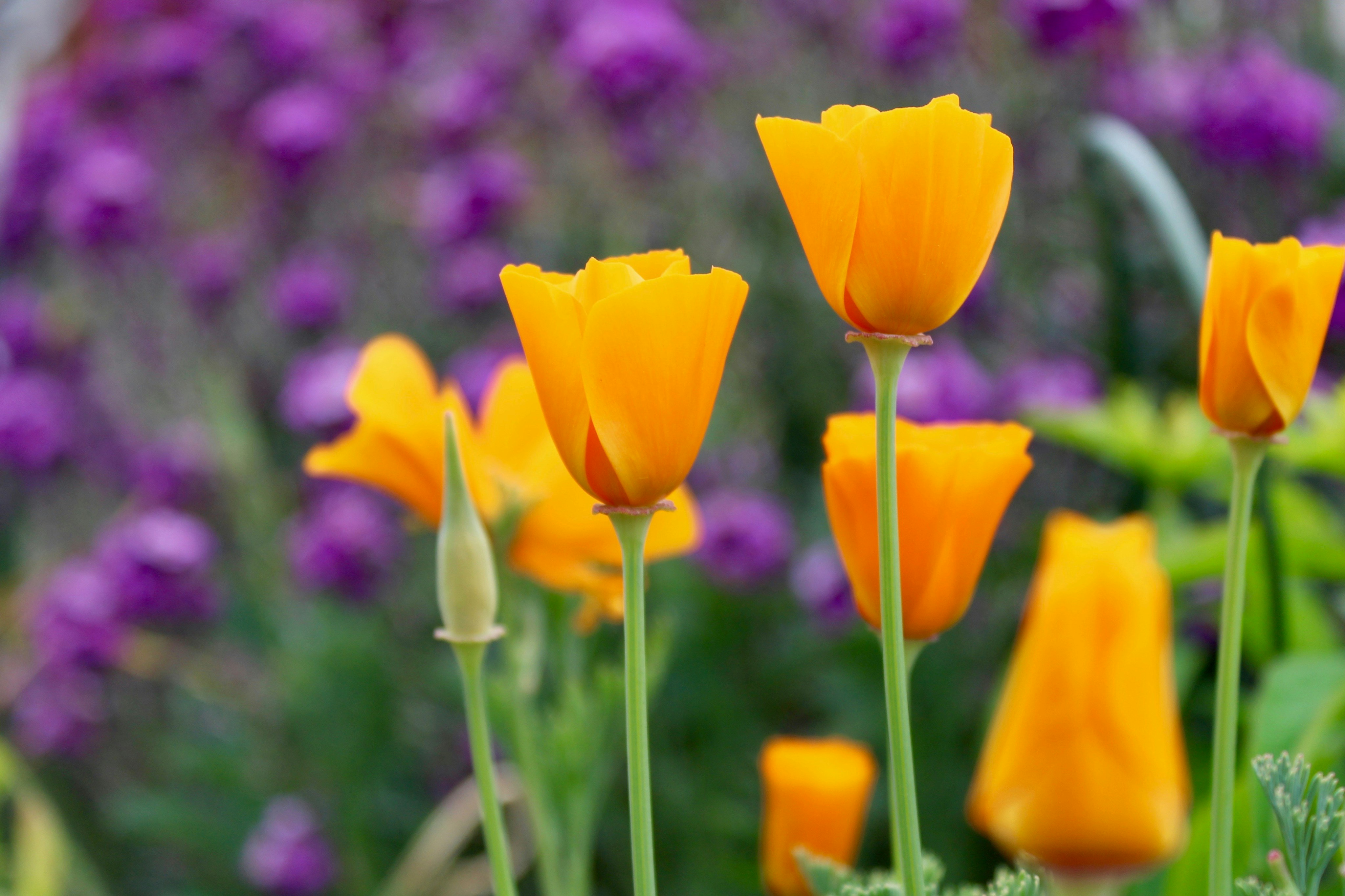 Photo by thegirlwiththeredhat