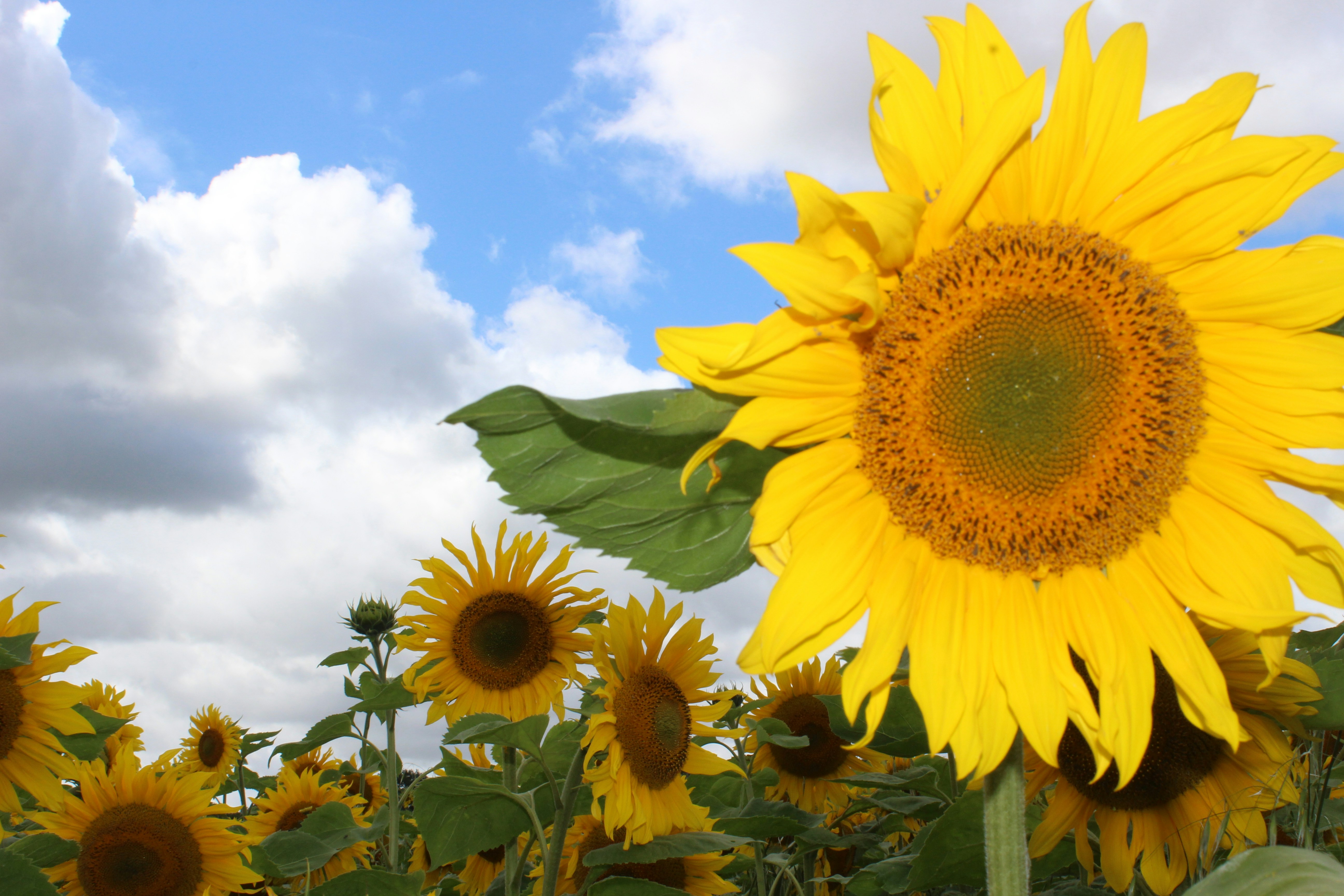 Photo by thegirlwiththeredhat