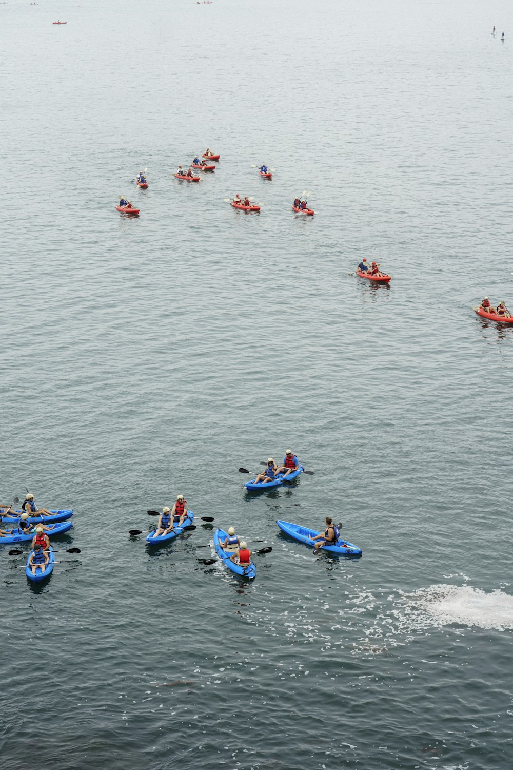 Personas que viajan en kayak azul en el cuerpo de agua durante el día